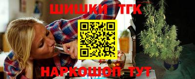 индика Комсомольск-на-Амуре